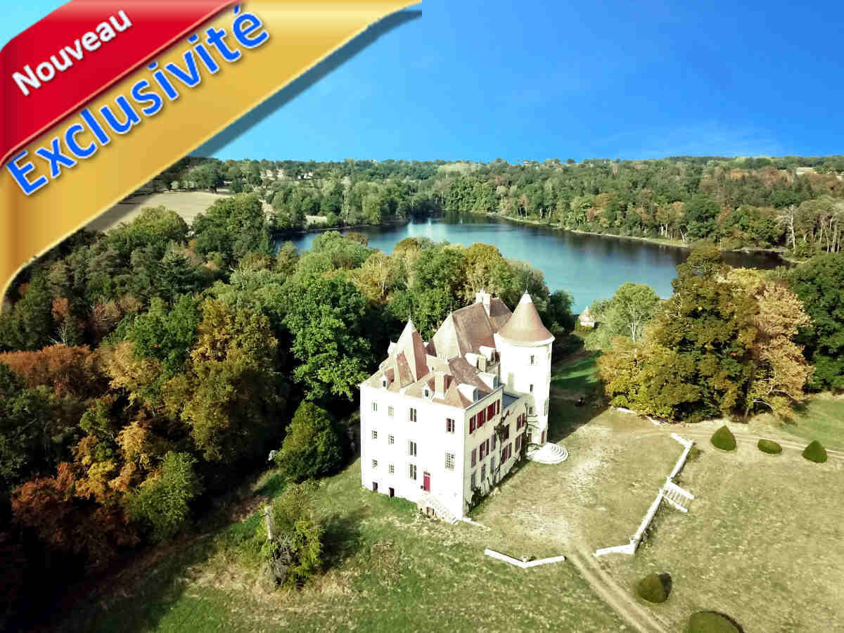 Château féodal remanié à vendre Allier 03 / Cher 18, à rénover. 45 ha: étangs, bois, prairies, jardins… 2 corps de ferme, 2 maisons de régisseur